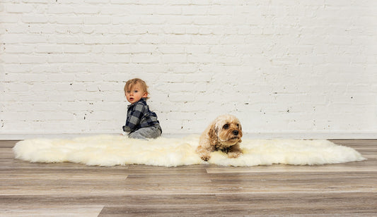 Natural Sheepskin Area Rug