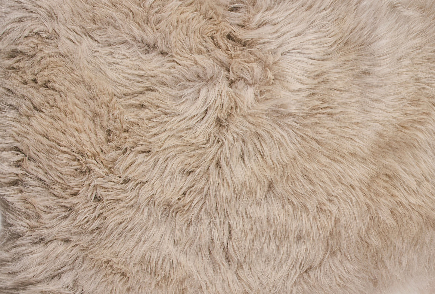 Sheepskin Area Rug