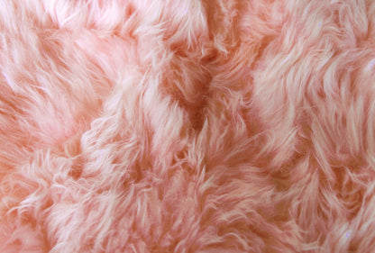 Sheepskin Area Rug