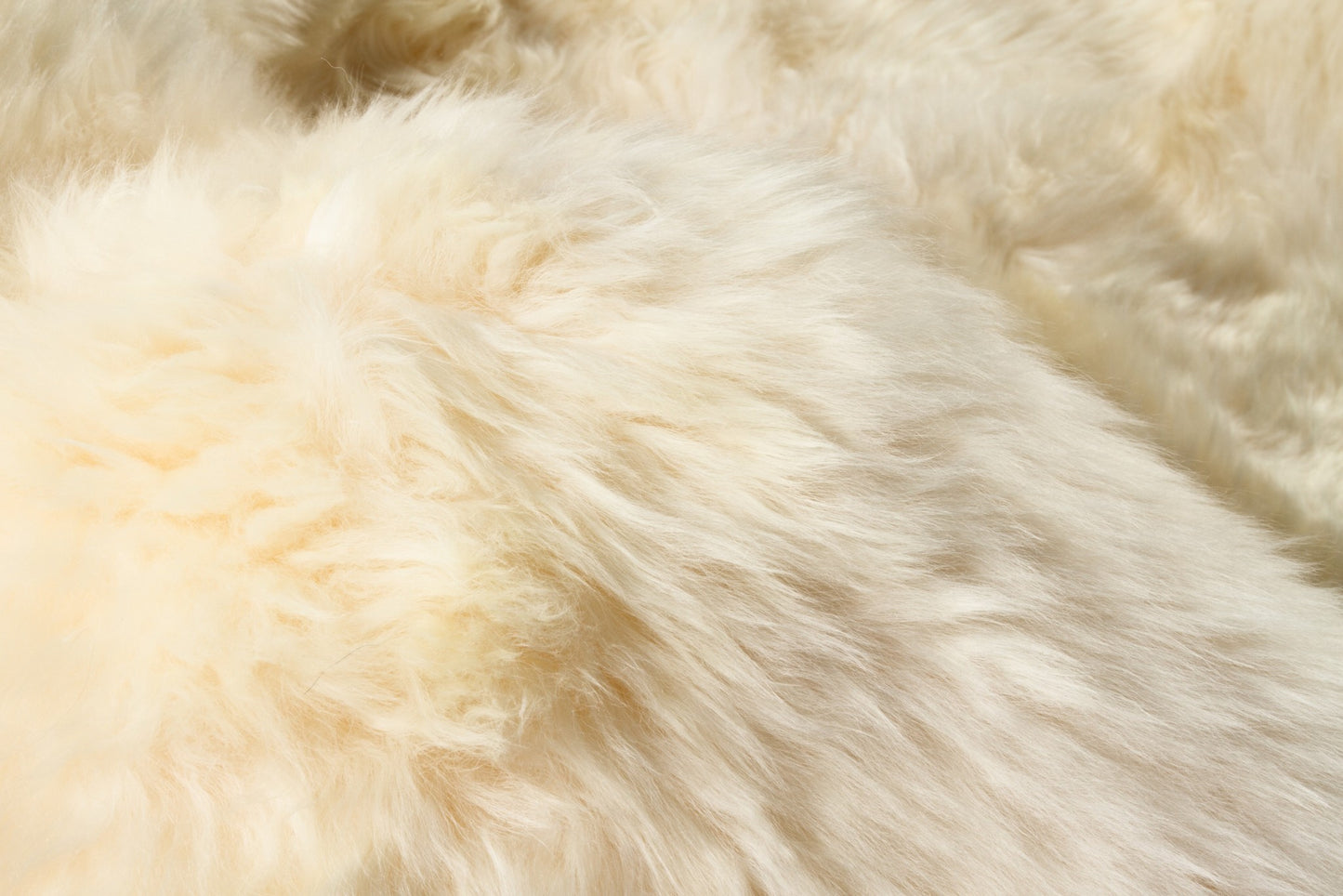 Gold Sheepskin Area Rug