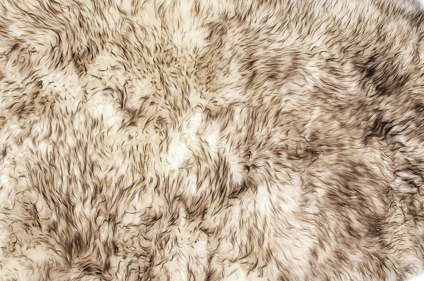 Gradient Sheepskin Area Rug