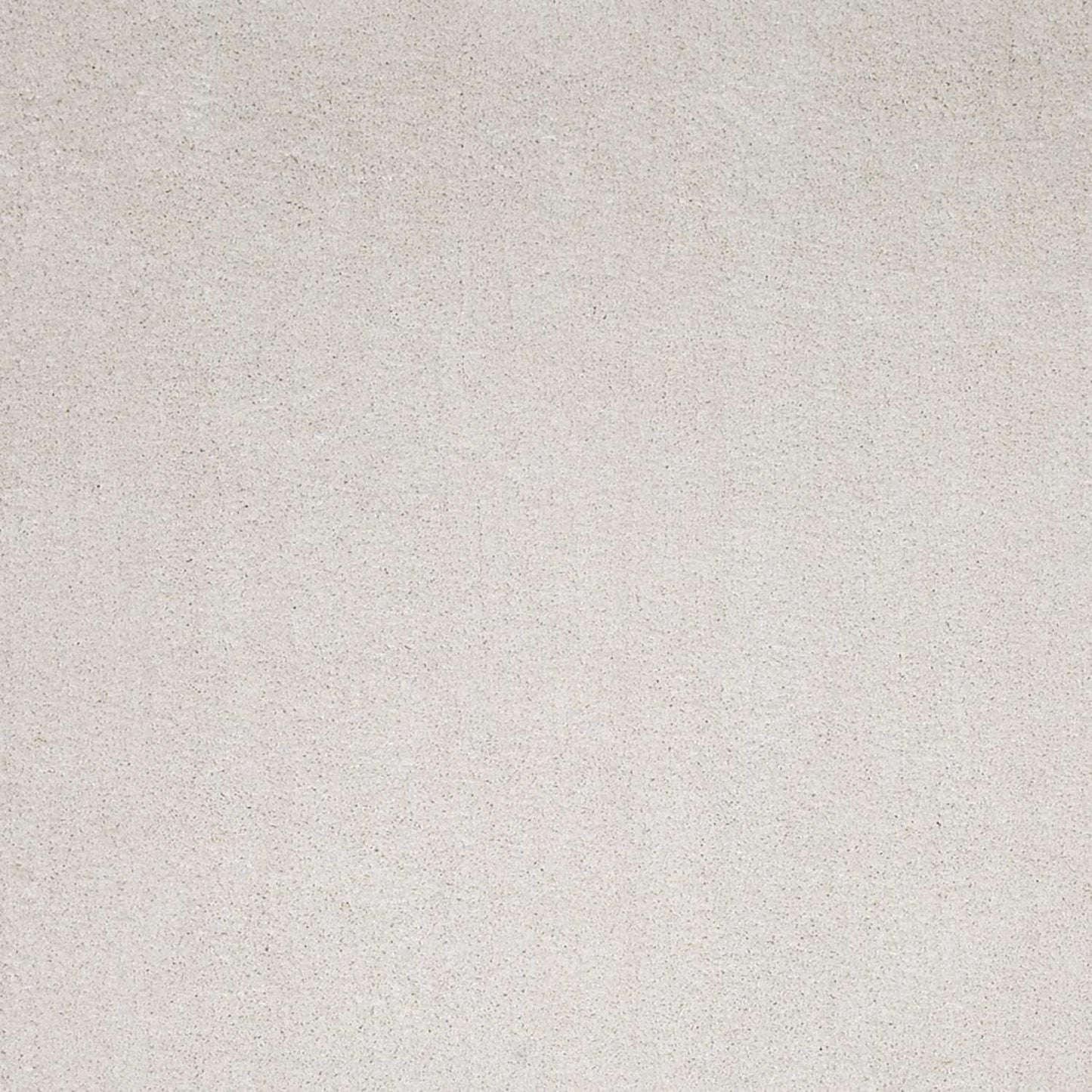 8'X10' Ivory Indoor Shag Rug