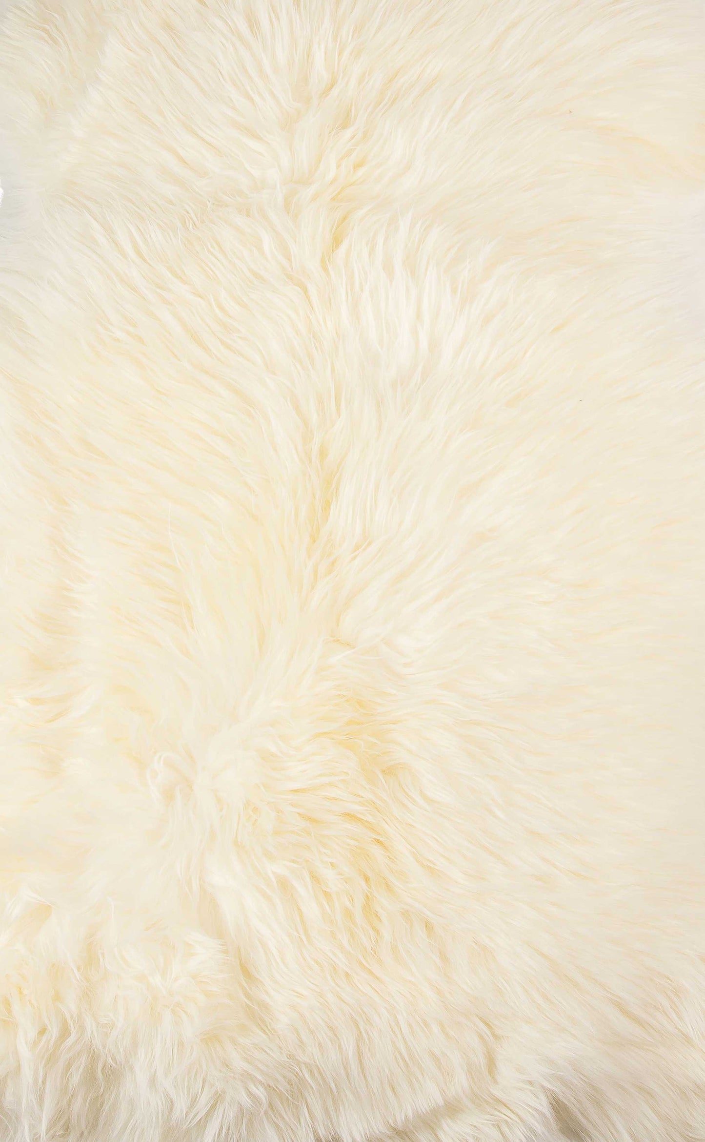 2' X 3' New Zealand Natural Sheepskin Rug