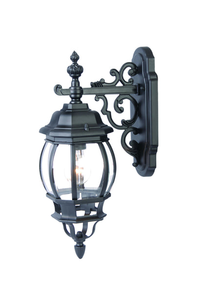 Matte Black Hanging Glass Globe Wall Light