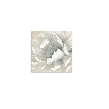 Soft Winter Flower In Bloom Unframed Print Wall Art