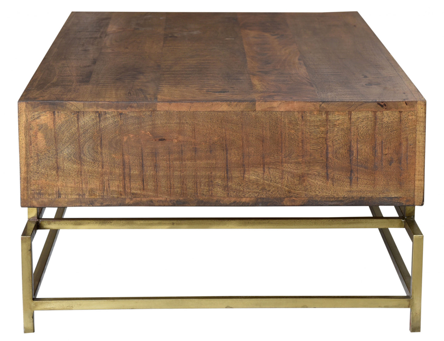 Brown and Gold Storage Coffee Table