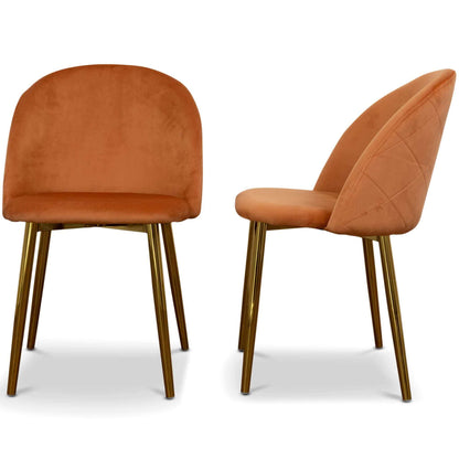 Marion Modern Dining Chair (Set of 2)