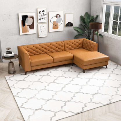 Carter Genuine Leather Sectional